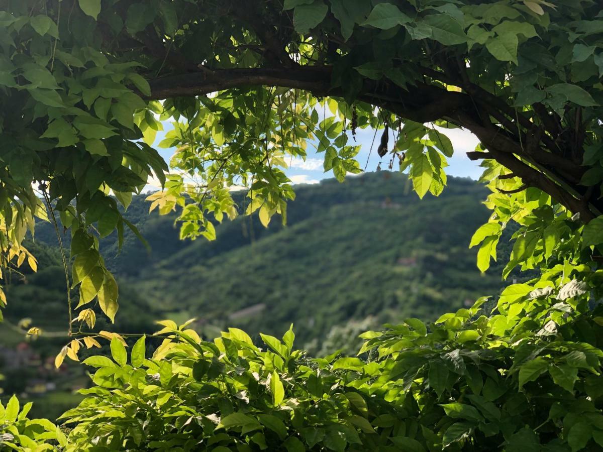 Tenuta Pian D'Attesio - Agriturismo Castelletto Soprano 外观 照片