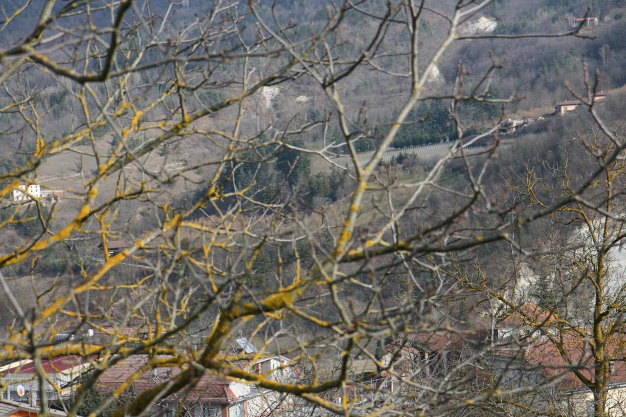 Tenuta Pian D'Attesio - Agriturismo Castelletto Soprano 外观 照片